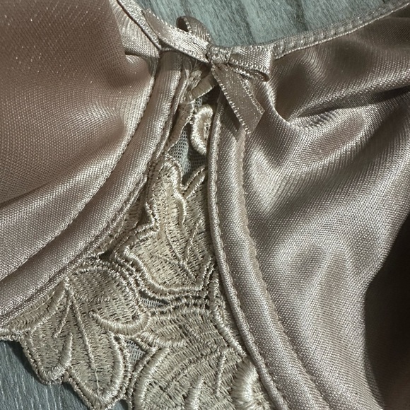 2031 Hedona Chantelle 34DDD Beige Nude Minimizer Bra Underwire Seamless - Picture 1 of 10